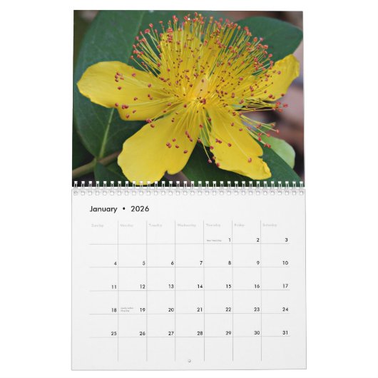Calendrier Yellow Flowers  (Jan 2026)