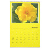 Calendrier Yellow Roses Calendar (Type-B) (Mar 2027)