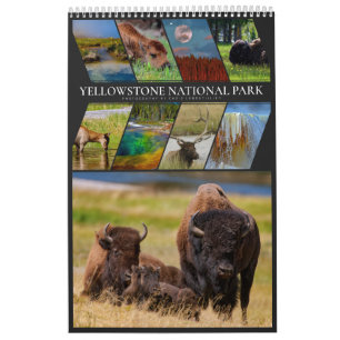 Calendrier Yellowstone Un endroit très spécial