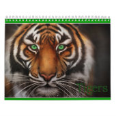 Calendrier yeux bleus blancs de tigres (Protection)