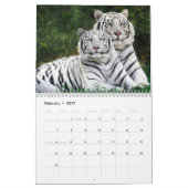 Calendrier yeux bleus blancs de tigres (Feb 2027)
