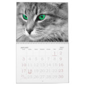 Calendrier Yeux émouvants du chat (Jan 2027)