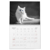 Calendrier Yeux émouvants du chat (Mar 2027)