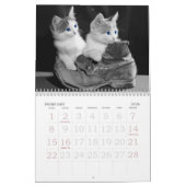Calendrier Yeux émouvants du chat (Feb 2026)