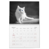 Calendrier Yeux émouvants du chat (Mar 2026)