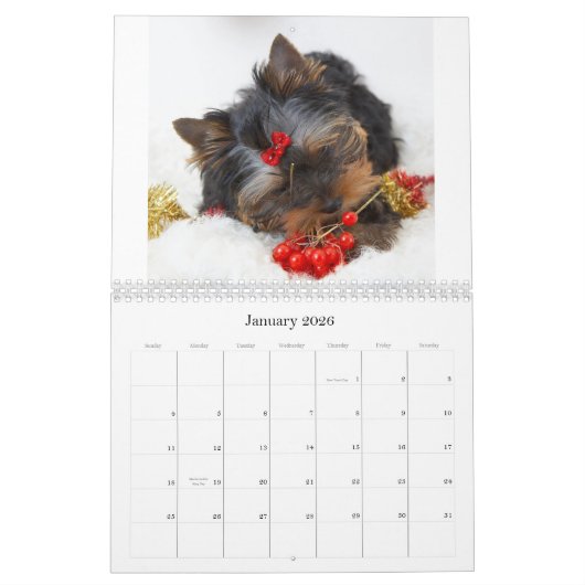 Calendrier Yorkshire Terrier (Jan 2026)