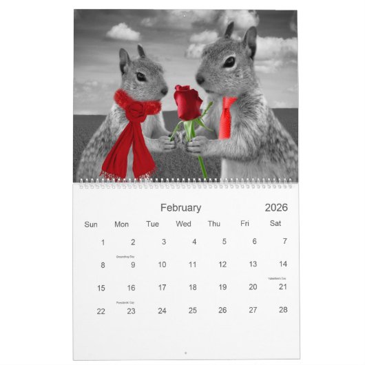 Calendrier Zany Squirrel Lover Faune 12 mois (Feb 2026)