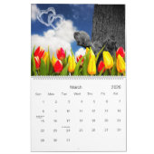 Calendrier Zany Squirrel Lover Faune 12 mois (Mar 2026)