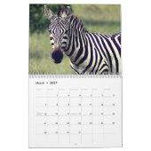 Calendrier Zèbre (Mar 2027)