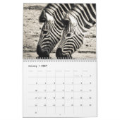 Calendrier Zèbre (Jan 2027)