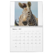Calendrier Zèbre (Feb 2027)