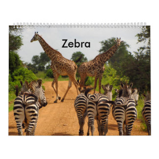 Calendrier zèbre