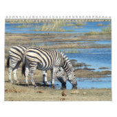 Calendrier Zèbre (Protection)