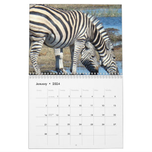 Calendrier Zèbre