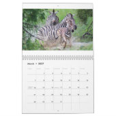 Calendrier Zèbre (Mar 2027)