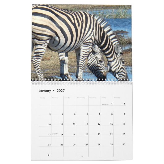 Calendrier Zèbre (Jan 2027)