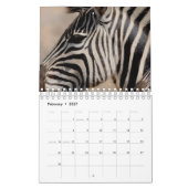 Calendrier Zèbre (Feb 2027)