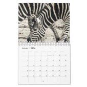 Calendrier Zèbre (Jan 2026)