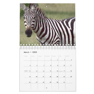 Calendrier Zèbre