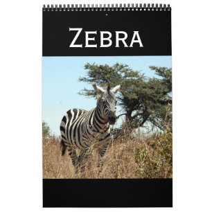 Calendrier zèbre