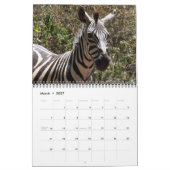 Calendrier zèbre 2010 (Mar 2027)