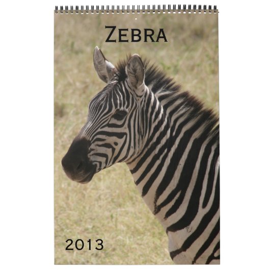 calendrier zèbre 2013 (Protection)