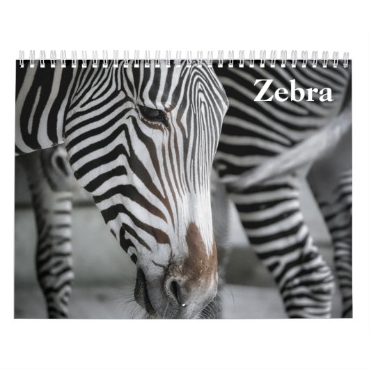 Calendrier Zèbre 2025 (Protection)