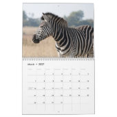 Calendrier Zèbre 2025 (Mar 2027)