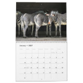 Calendrier Zèbre 2025 (Jan 2027)