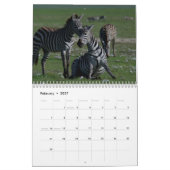 Calendrier Zèbre 2025 (Feb 2027)