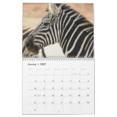 Calendrier Zèbre 2027 (Jan 2027)