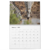 Calendrier Zèbre 2027 (Feb 2027)
