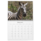 Calendrier zèbre 2027 (Mar 2027)
