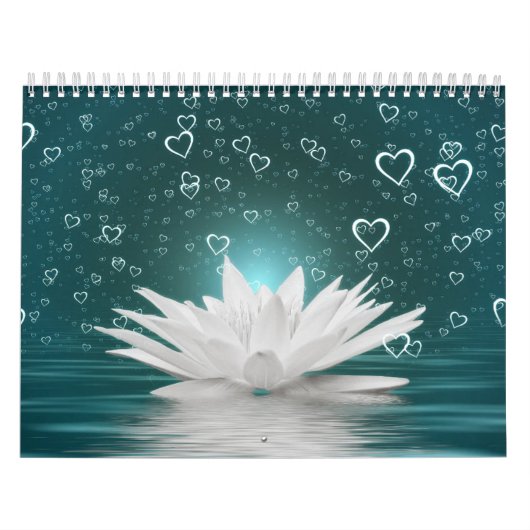 Calendrier Zen 12 mois (Protection)