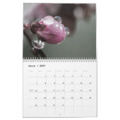 Calendrier Zen Images 2016 (Mar 2027)