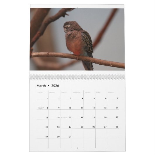 Calendrier Zoo Animaux (Mar 2026)