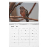 Calendrier Zoo Animaux (Mar 2027)