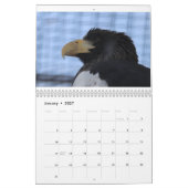 Calendrier Zoo Animaux (Jan 2027)