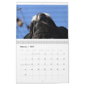 Calendrier Zoo Animaux (Feb 2027)