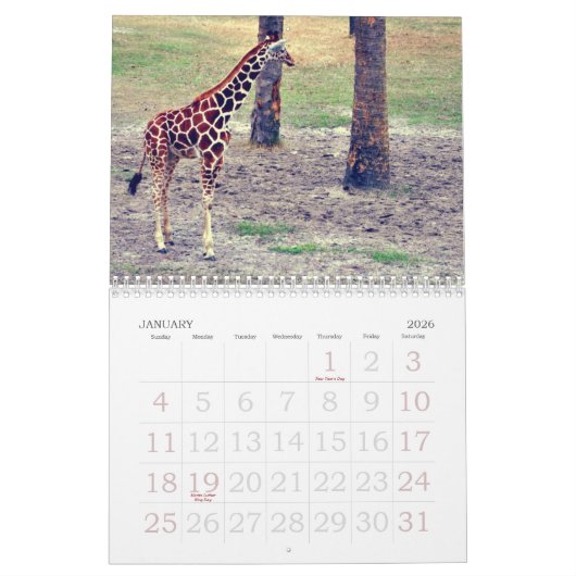 Calendrier Zoo et jardins de Jacksonville (Jan 2026)