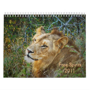 Calendriers 2011 - Spiritueux gratuits