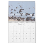 calendriers de 2019 2020 de pélican d'oiseau (Jan 2027)