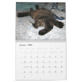 Calendriers de chat de ragondin du Maine (Jan 2027)