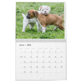 Calendriers de chien - chiots mignons de boxeur (Mar 2026)