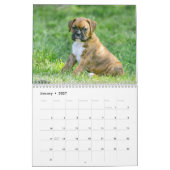 Calendriers de chien - chiots mignons de boxeur (Jan 2027)
