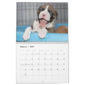 Calendriers de chien - chiots mignons de boxeur (Feb 2027)