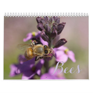 CALENDRIERS DES ABEILLES DO-IT-YOURSELF