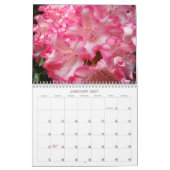 Calendriers Les infirmières sont les anges de la T (Jan 2027)