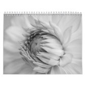 Calendriers noirs et blancs de fleur (Protection)