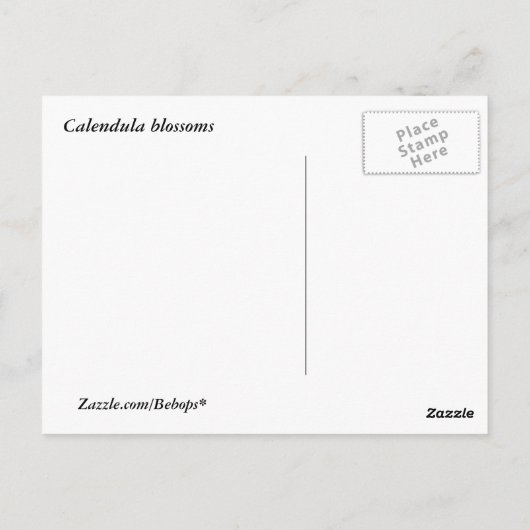 Calendula Blossom Briefkaart (Achterkant)